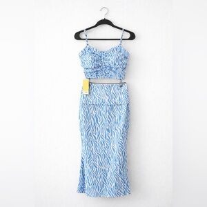 Blue and White Zebra Print Two-Piece Set